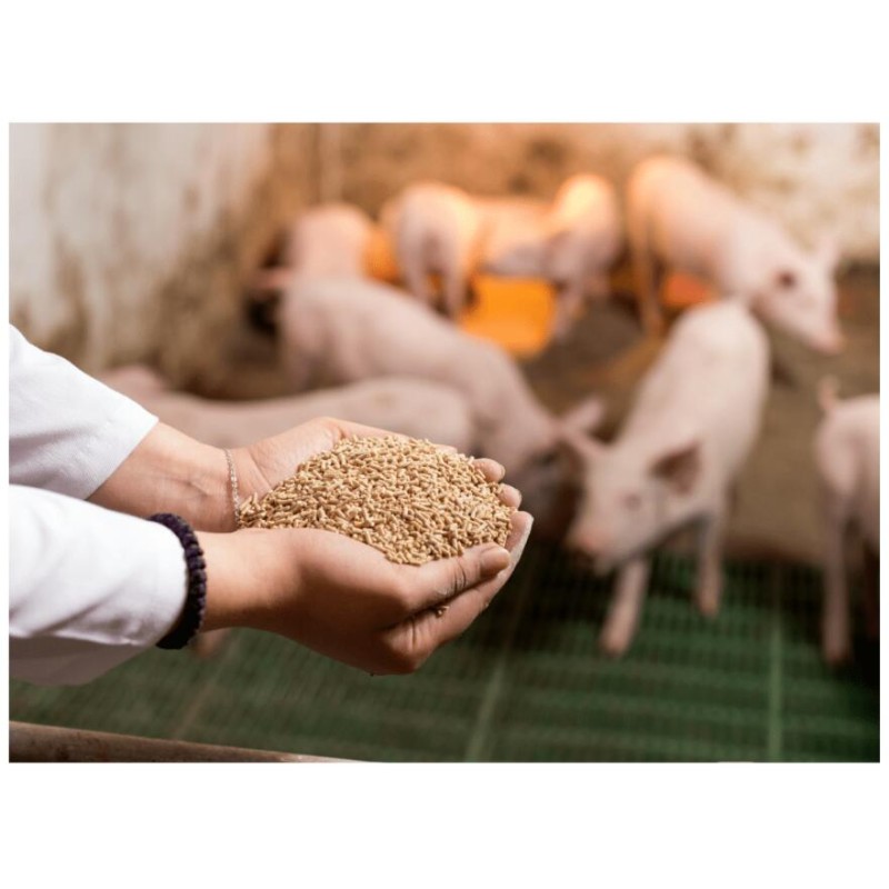 Factory supply wholesale betaine hcl animal feed 99% betaine