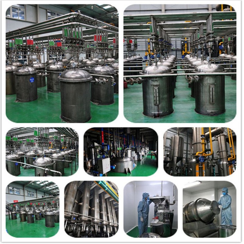 Factory Supply Wholesale Organic Certificated Wheatgrass Powder Organic Wheat Grass Juice Powder