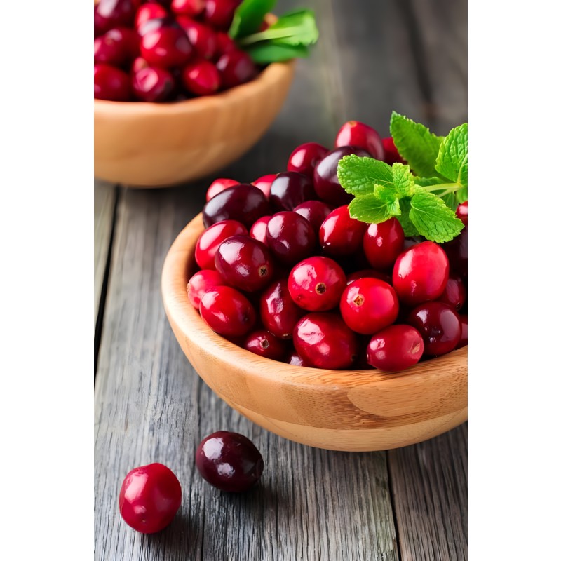 Cranberry Powder Food Grade Cranberry Fruit Powder Supplement Fruit Extract Cranberry Juice Powder