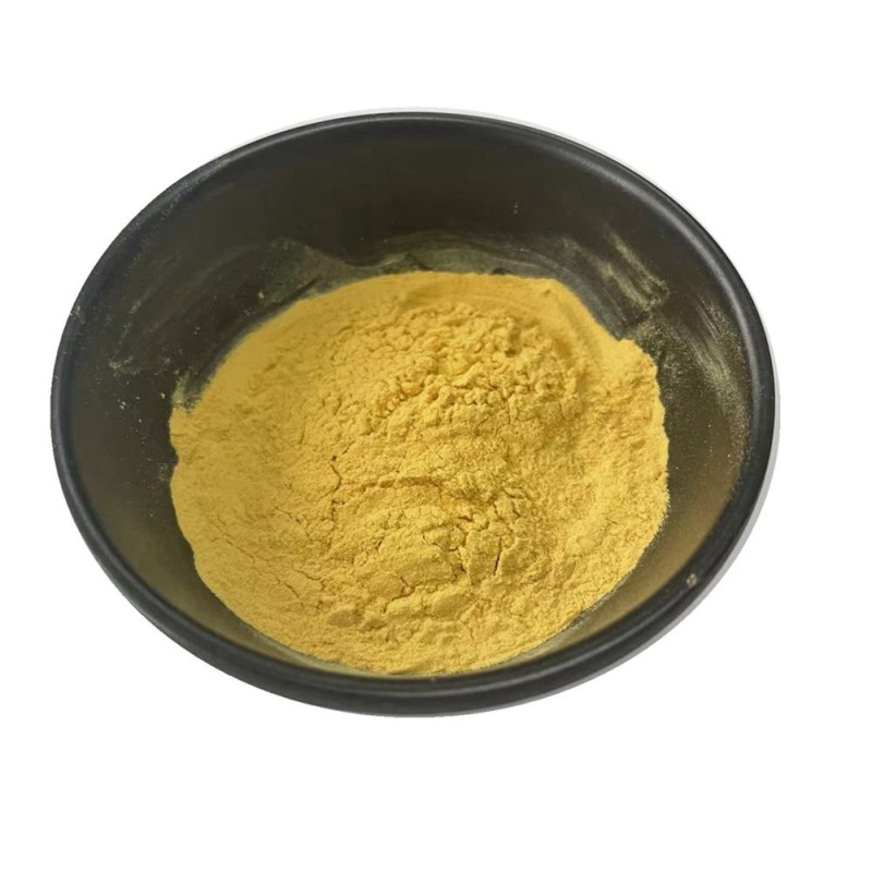 Organic/ Kosher/ Halal Certificated Cordyceps Militaris Extract 20% Polysaccharides