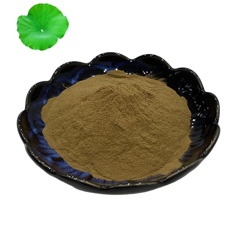 High Purity Natural Organic Lotus Leaf Extract Powder Weight Loss 1% 2% 98% Nuciferine