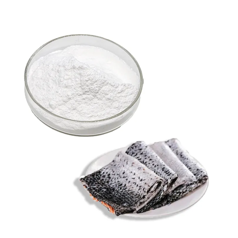 Cosmetic Grade Fish Protein Collagen Peptide Powder 99%