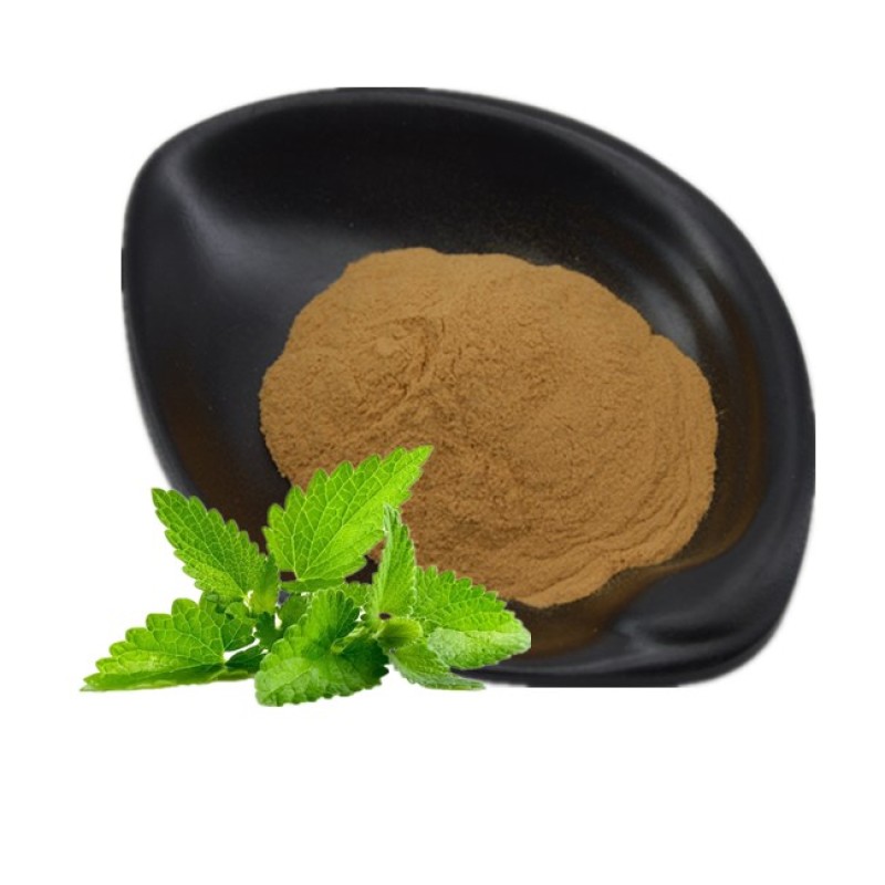 Lemon Balm Extract 5% Rosmarinic Acid Powder Natural Bulk Melissa Extract Powder