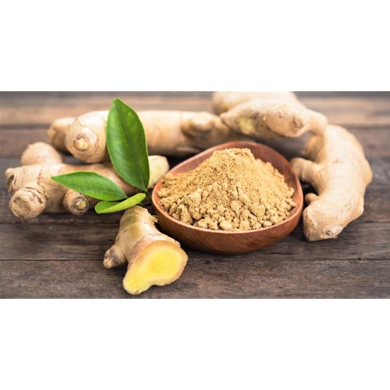 Wholesale Factory Supply  Ginger root extract Gingerol Ginger Extract Powder