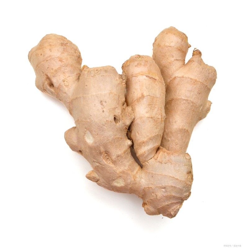Ginger Root Extract Natural Wholesale Gingerol 5% Ginger Extract Powder
