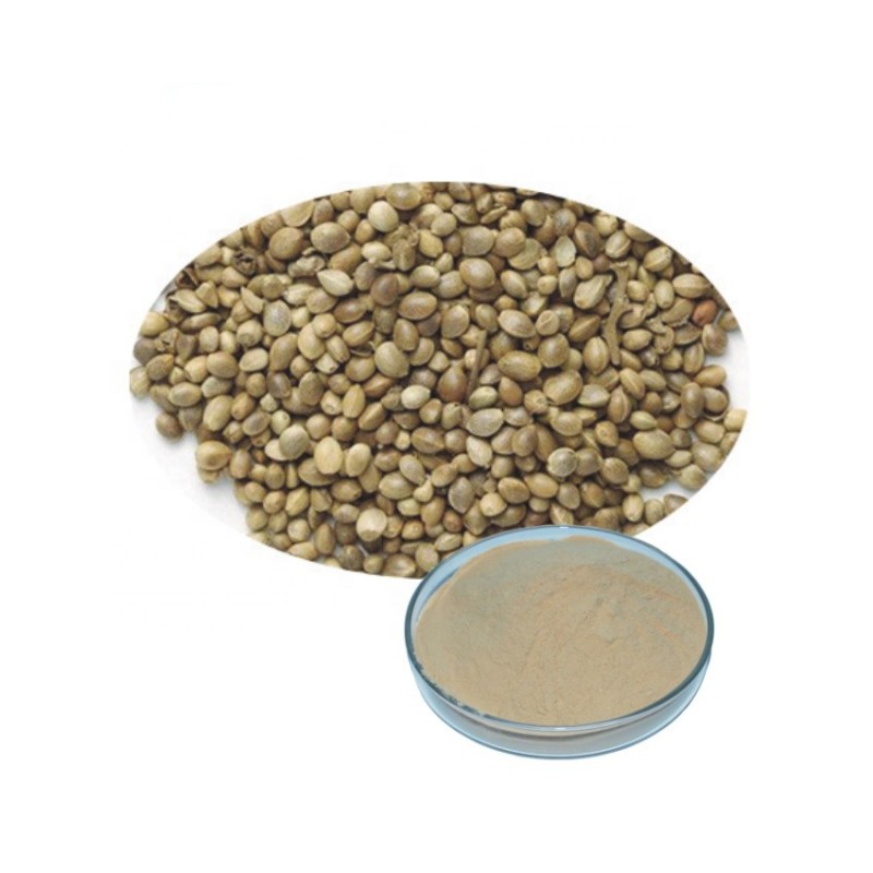 Halal Certified Organic Hemp Protein Powder