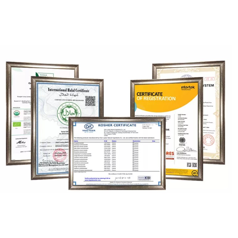 EU Certificated Organic Cordyceps Extract  Organic 10% Polysaccharide