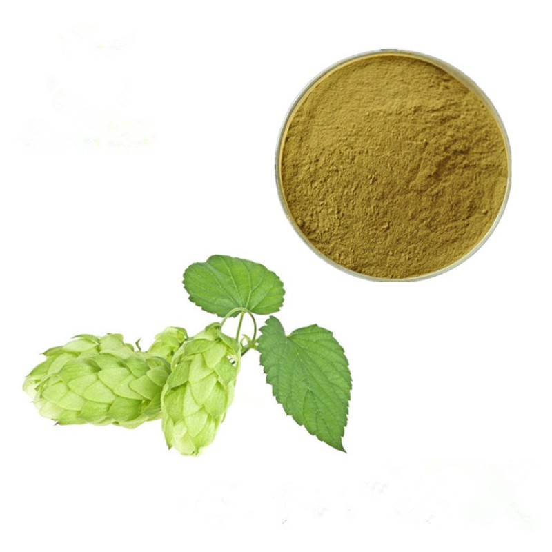 Humulus Lupulus Extract Flavones Wholesale Bulk Hops Extract Flavonoids Powder 4%