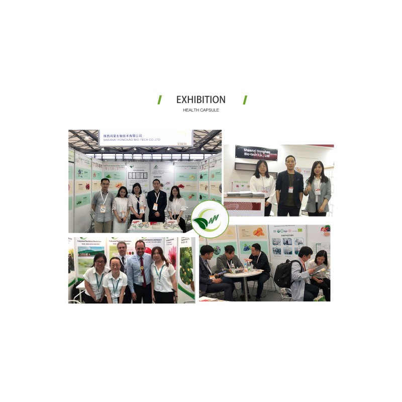 Euglenophyta Euglena Powder Extract Polysaccharide 58% Nutritional Supplement Euglena Gracilis Powder Naked Algae Powder