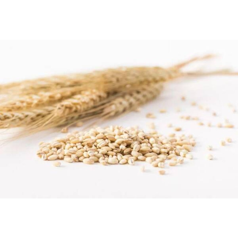 Whole Wheat Germ Extract High Quality 1% Spermidine CAS 124-20-9 Wheat Germ Powder Spermidine Powder