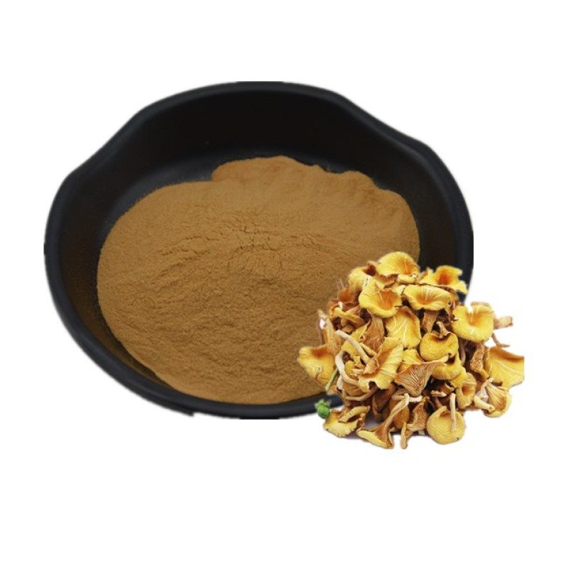 Chanterelle Mushroom Extract Mycelium Chanterelle Polysaccharide 30% Chanterelles Mushrooms Powder