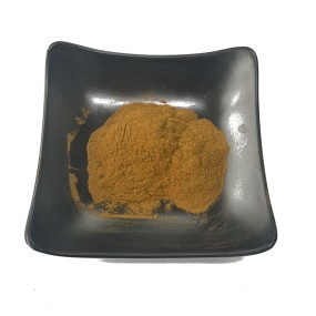 Water Soluble Reishi Extract 10-50% Polysaccharides