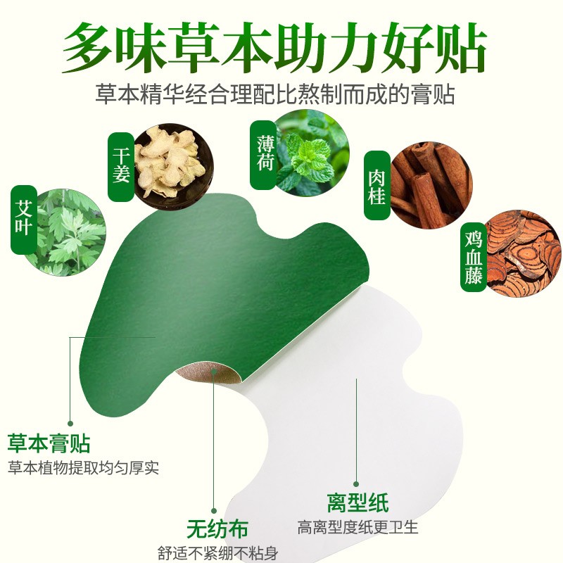 Wormwood Knee Patch Manufacturer - 12pcs Joint Discomfort