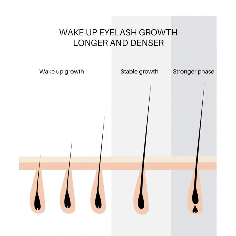 Eyelash Serum Supplier - Natural Eyelashes Thickening Growth Serum