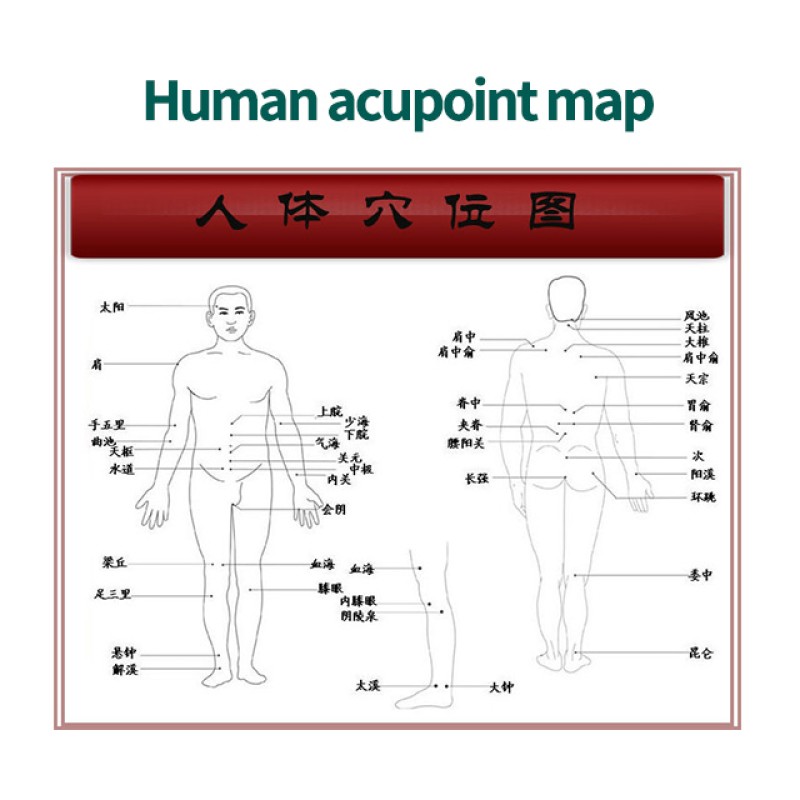 Premium Sanfu Patch Supplier - TCM Herbal Therapy Wholesale