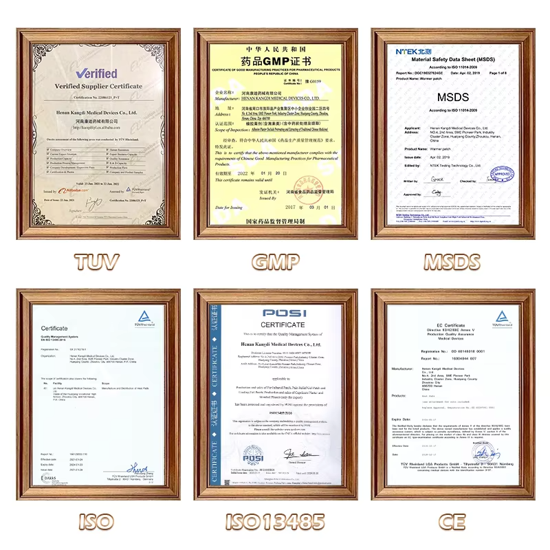 Wormwood Lumbar Patch Supplier - Natural Joint Pain Relief