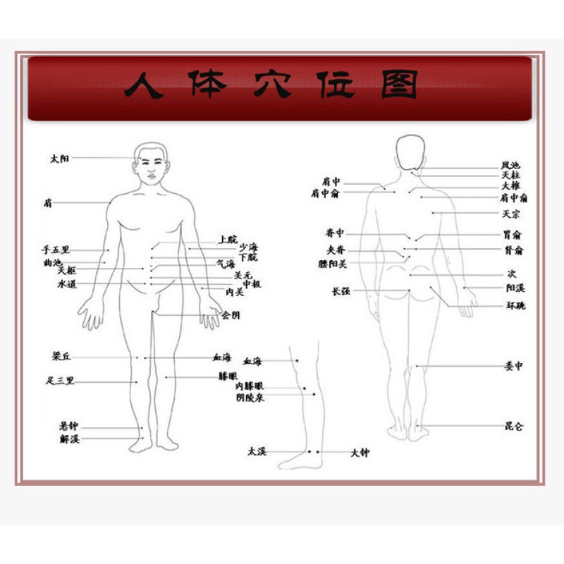 Sanfu Therapy Patch Manufacturer - Herbal Bulk Cold Dispelling