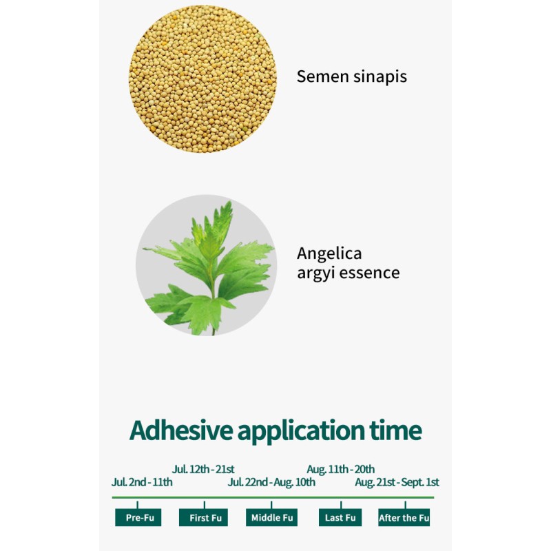 Gynecological Moxibustion Patch Factory - TCM Women Wellness