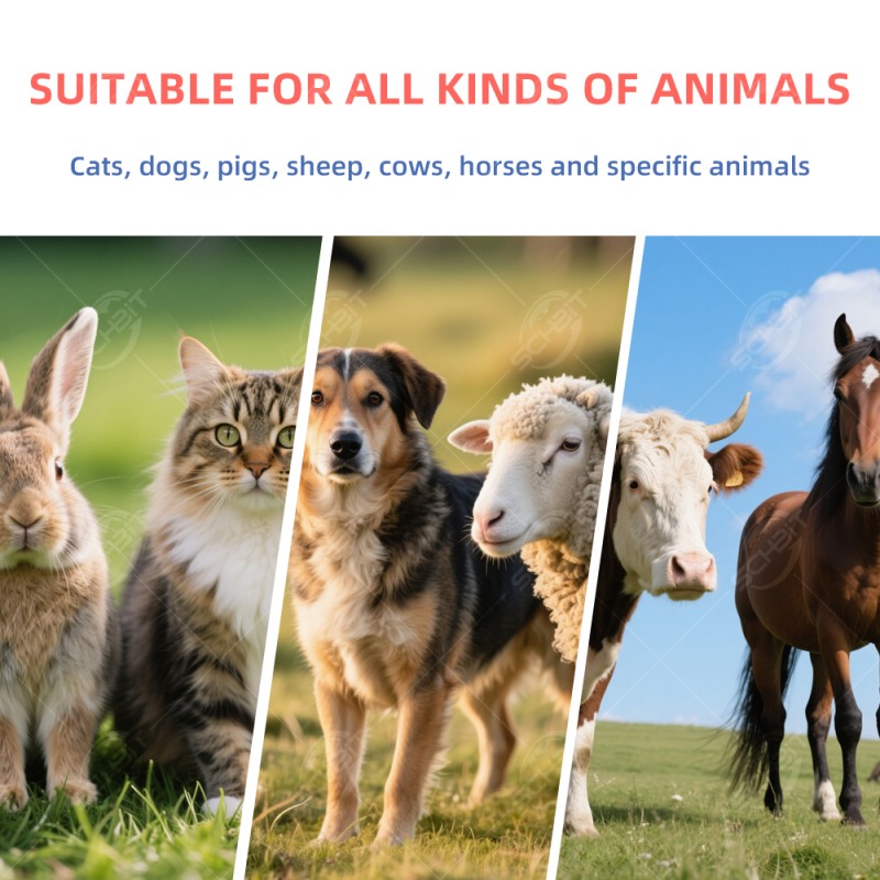 Pet Blood Pressure Monitor Factory - Medical-grade Low-noise Yongkang