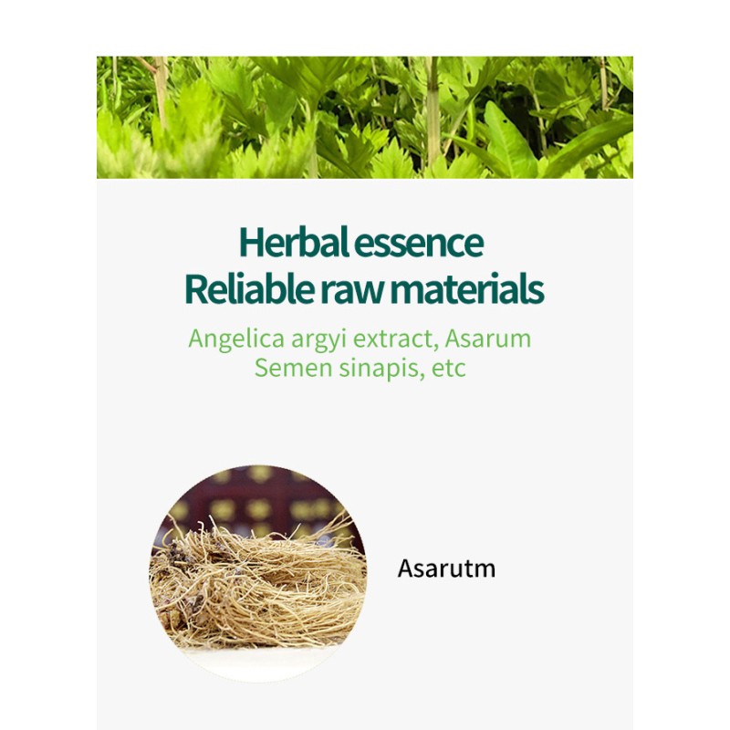 Premium Sanfu Patch Supplier - TCM Herbal Therapy Wholesale