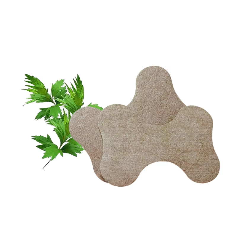 Lumbar Patch Manufacturer - Wormwood Joint Spinal Pain Relief