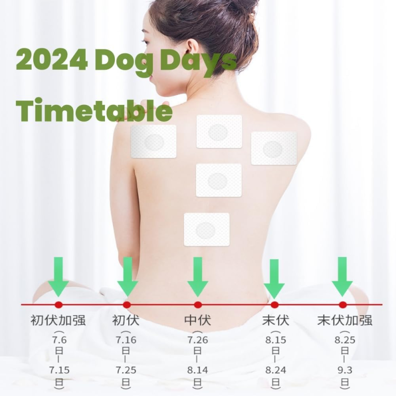 Moxibustion Patch Supplier - 3 Volt Autoimmune Support