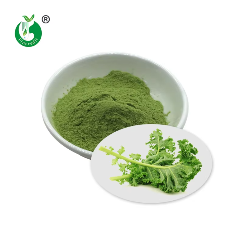 Organic Kale Powder Supplier - Super Green Pregnant Women Safe