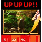 Sexual health products