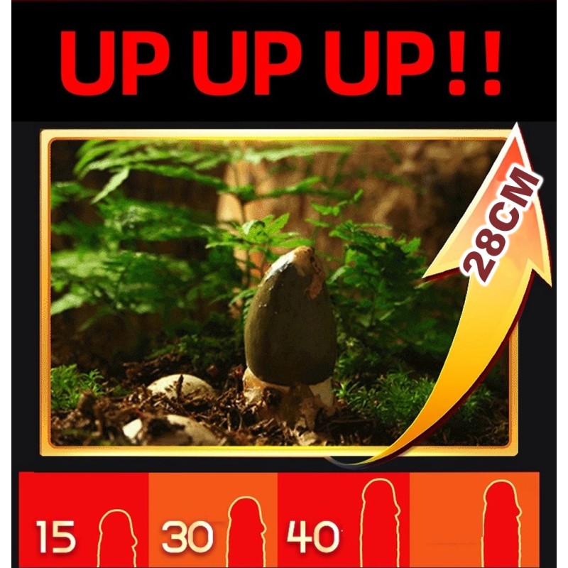 Penis Enlargement Gel Supplier - Male Aphrodisiac Size Increase Gel