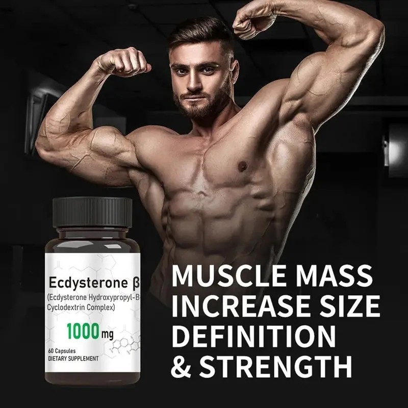 Dietary Supplement Supplier - 1000mg Ecdysterone Muscle Blend