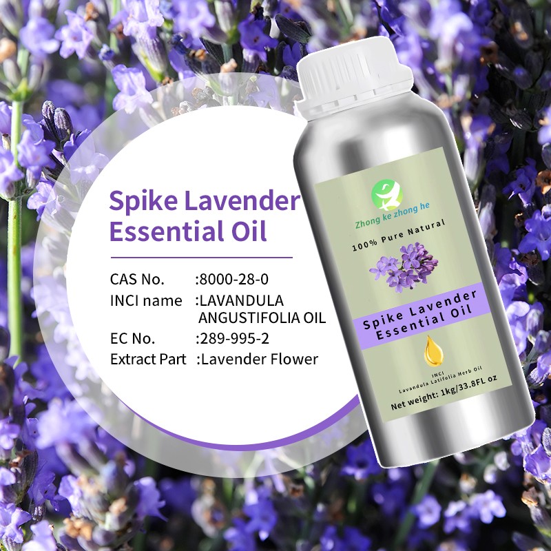 Lavender Oil Manufacturer - Manufacturer Wholesale Bulk Pure Natural Lavender Essential Oil Aroma