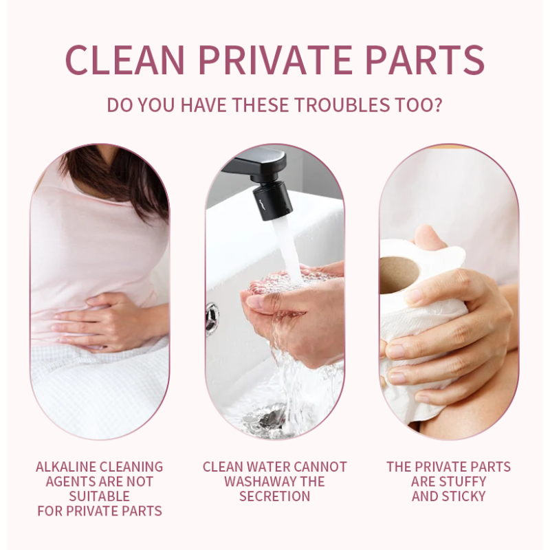 Feminine Wash Supplier - Boric Acid Organic pH Balance Yoni Foam Vaginal Cleanliness Freshness