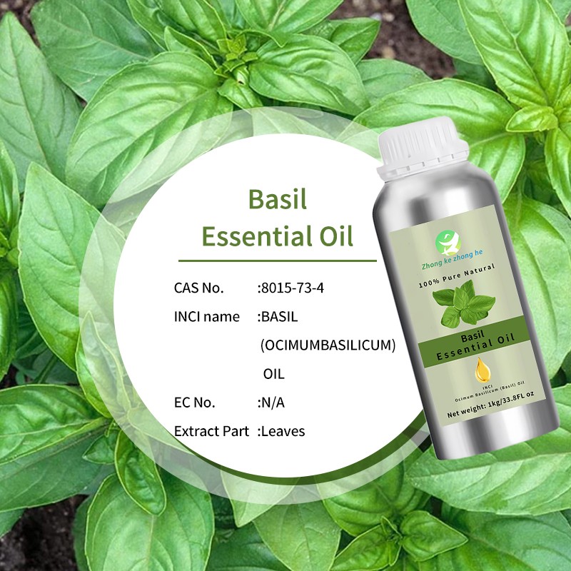 Clove Basil Oil Supplier - Pure Organic Clove Basil Essential Oil Fresh Sweet Odor COA Certified OEM