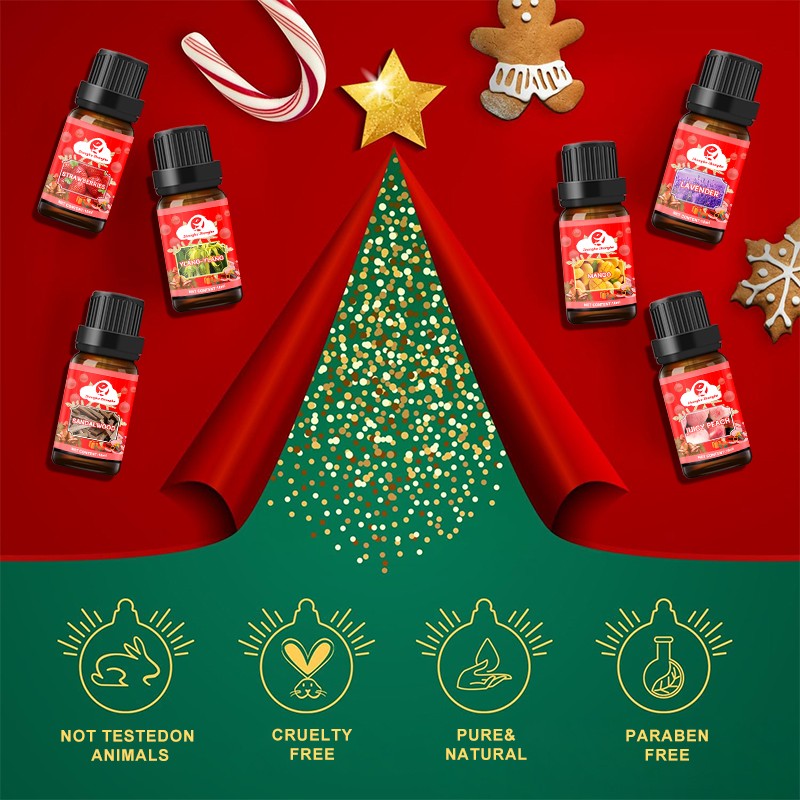 Christmas Oil Set Supplier - OEM/ODM Custom 12-Piece Christmas Essential Oil Set Perfume Oil Kit