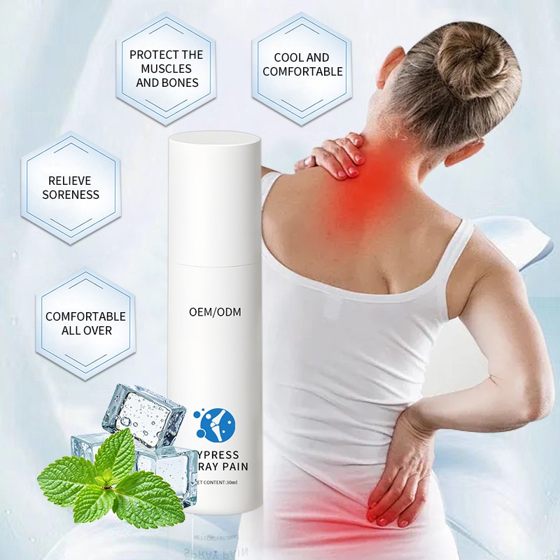 Pain Relief Spray Supplier - Professional Pain Relief Chinese Plaster Quick Relief Herbal Patch