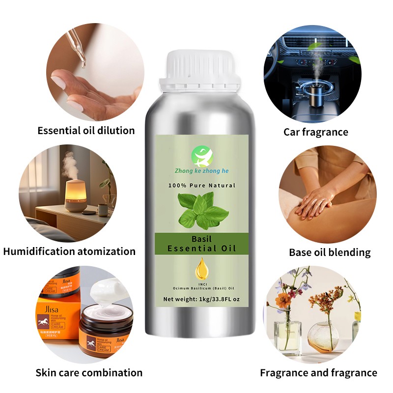 Clove Basil Oil Supplier - Pure Organic Clove Basil Essential Oil Fresh Sweet Odor COA Certified OEM