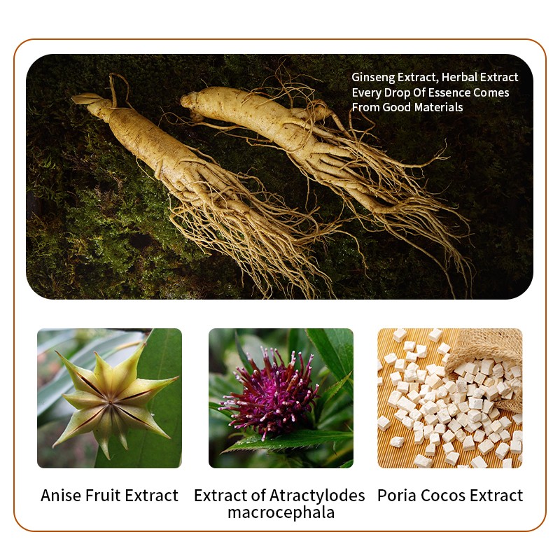 Slimming Serum Factory - OEM Professional Weight Loss Slimming Serum Hot Sale Body Fat Tightening