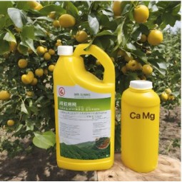 Medium and TE Water-soluble Fertilizer Ca Mg B Zn Fe Anti Cracking Fruit