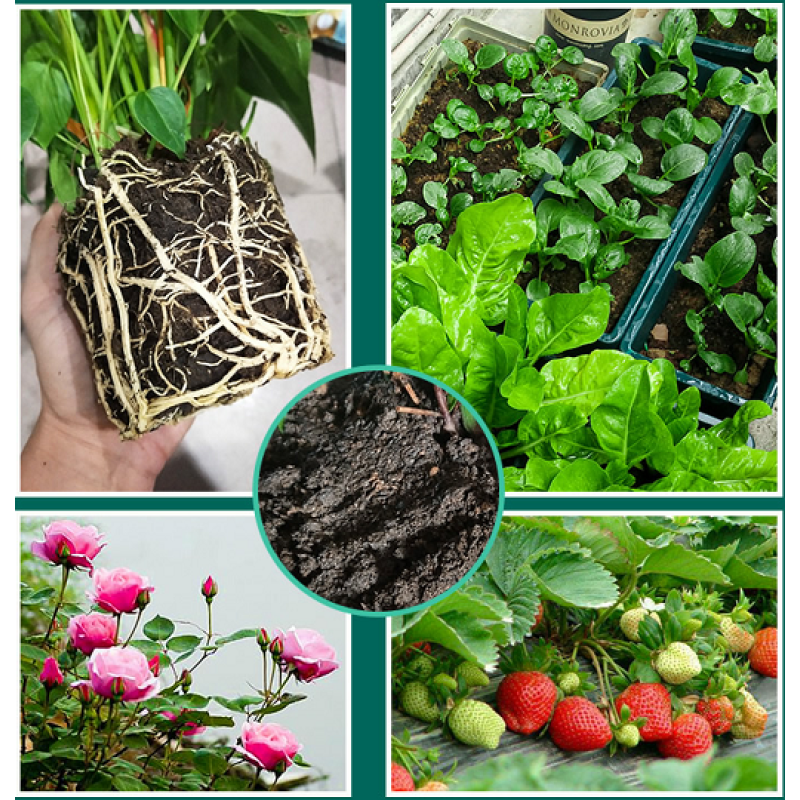 5% NPK  Chicken Manure Organic Fertilizer Microbial Fertilizer Soil Conditioner