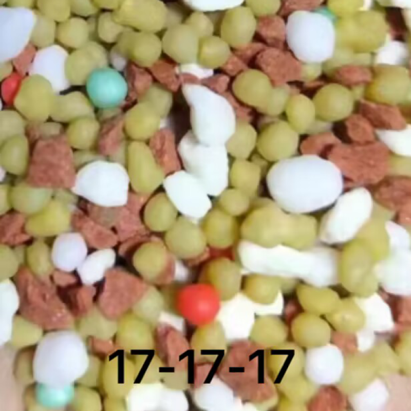 NPK Compound Fertilizer 20-10-10 Granule with Organic Matter