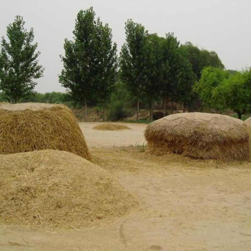 Compost Starter Bacteria Compost Fermentation Agent Animal Poultry Manure Fermentation