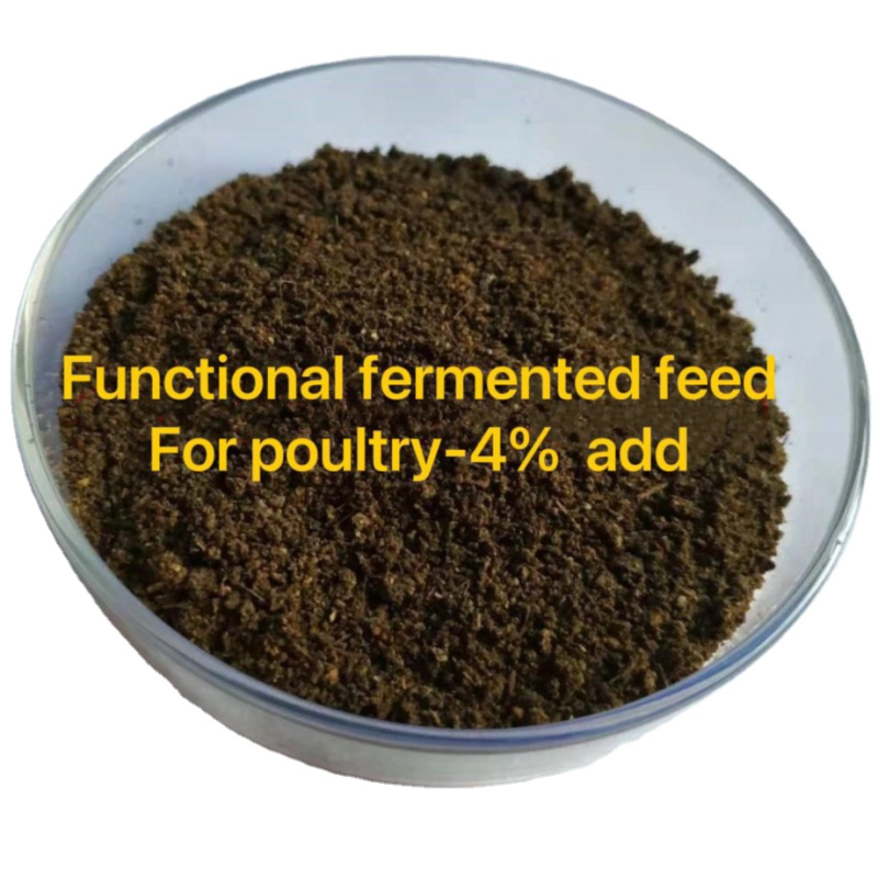 Functional Fermented Feed for Poultry 4% Add Prolong Egg Laying Period
