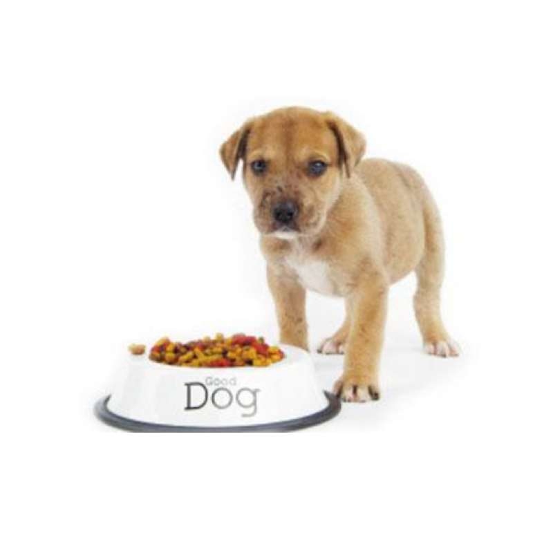 Saccharomyces Boulardii   Pet Feed Additives Anti-diarrheal  Yeast