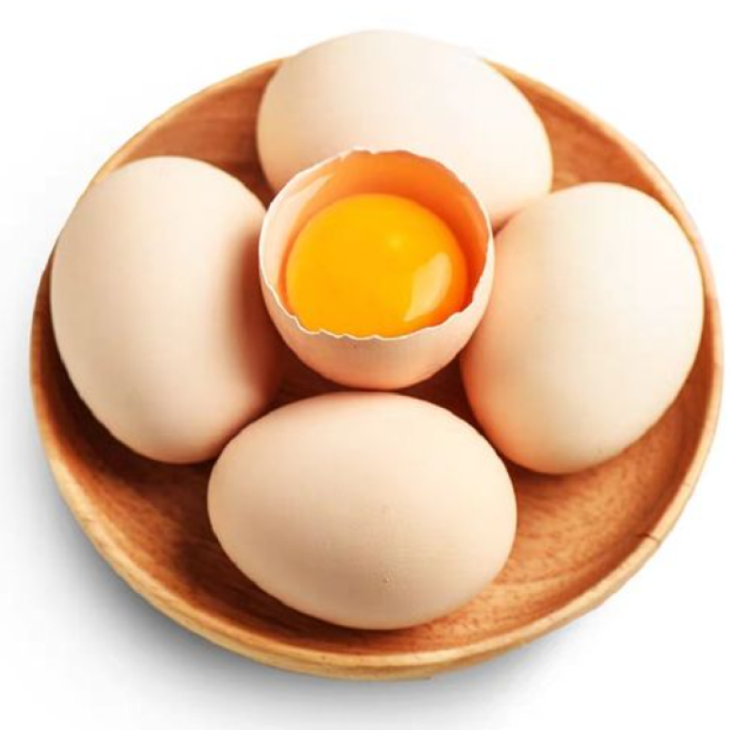 Functional Fermented Feed for Poultry 4% Add Prolong Egg Laying Period