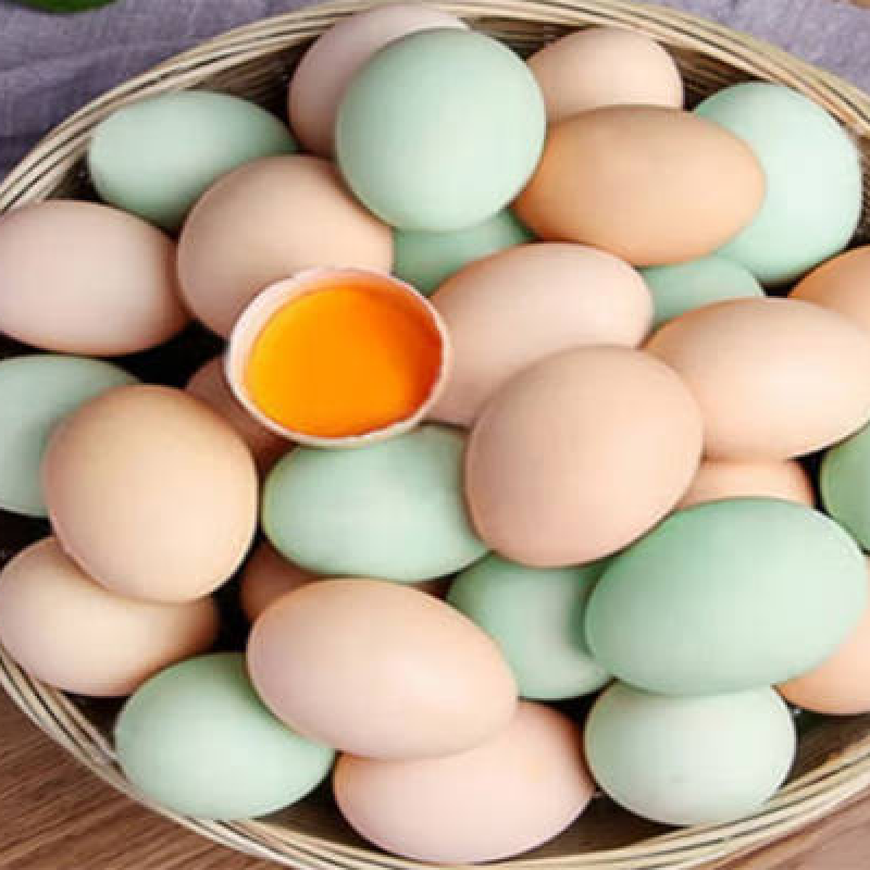 Laying Hens Feed Additive Lutein Probiotics  Curcuma Longa Improve Egg Production Rate