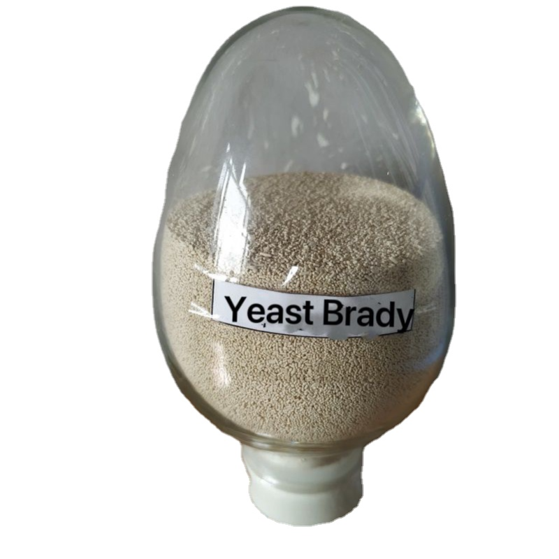 Saccharomyces Boulardii   Pet Feed Additives Anti-diarrheal  Yeast