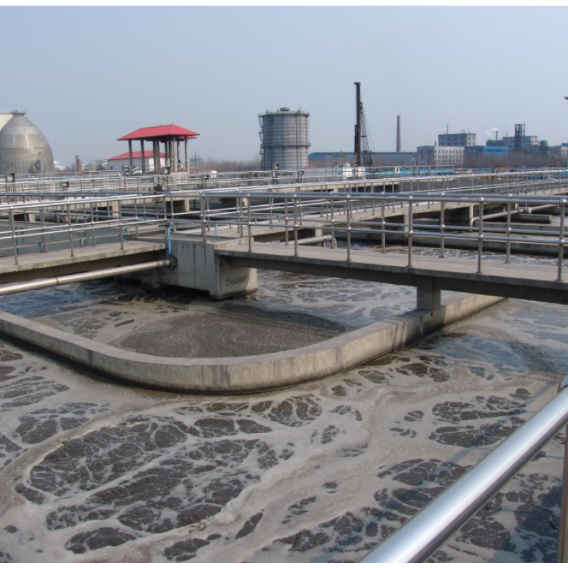 Bacillus Subtilis  Probiotics for Shrimp Reduce AO Nitrite-quick Cleaner in Aquaculture