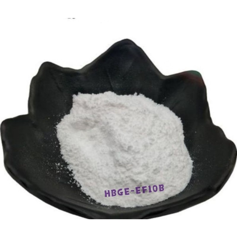 Enterococcus Faecalis Lactic Acid Bacteria