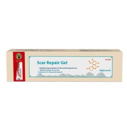 Scar Gel Factory - Silicone Gel Scar Repair Gel for Skin Care Auxiliary Improvement