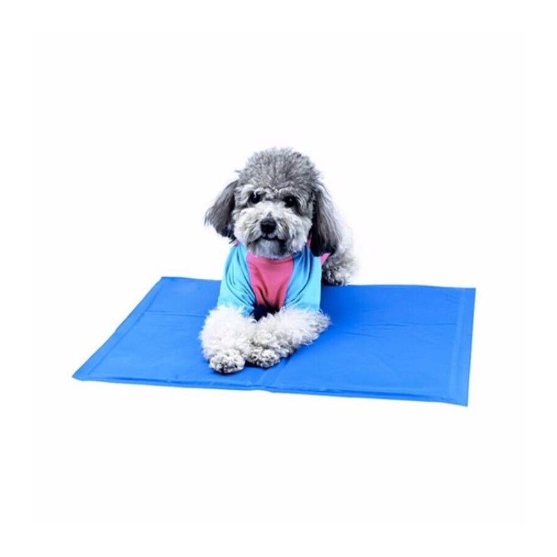 Pet Cooling Mat Supplier - Pressure Activated No Water